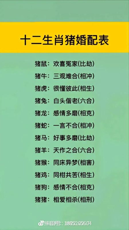 属猪的人与哪些生肖最相配-安卜居