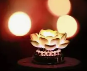 图片[1]-梦见亲人去世有什么预兆和含义