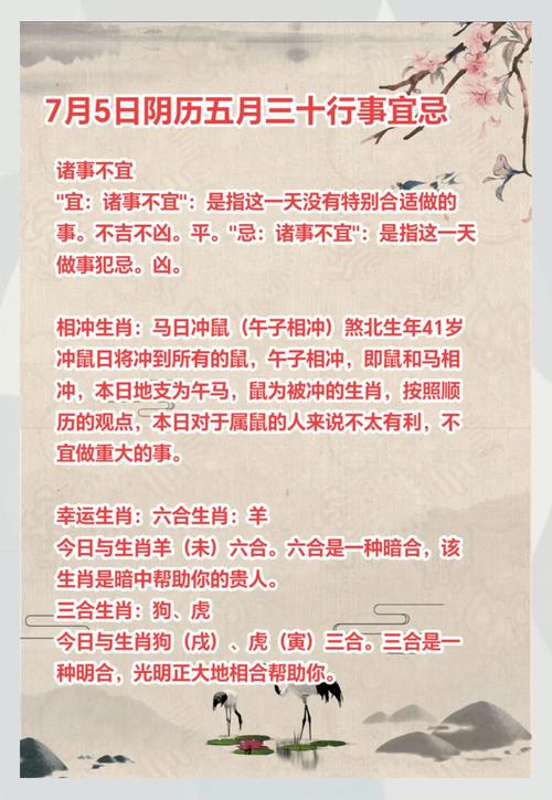 图片[1]-2008年出生的属鼠人命运解析