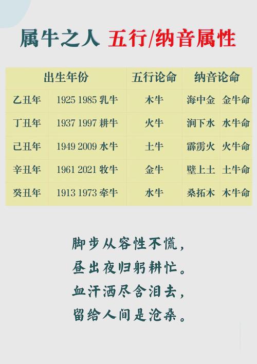 属牛人性格特点解析