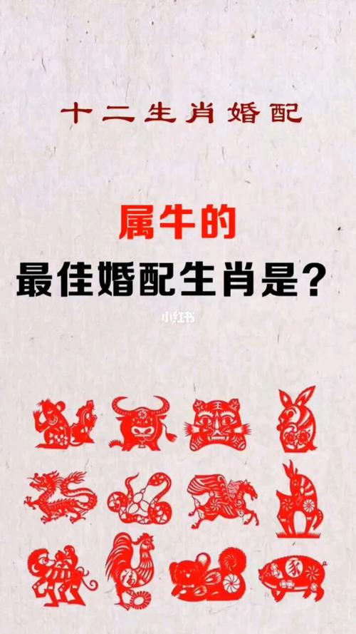 图片[1]-1973年属牛男最配的生肖婚配指南