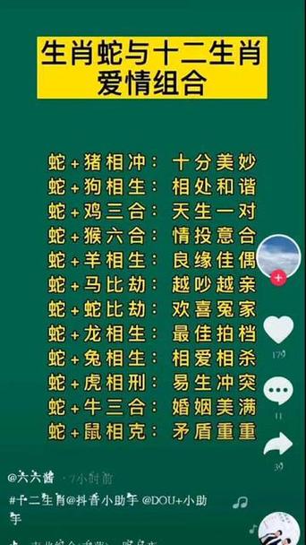 属蛇与属鸡的缘分匹配度解析