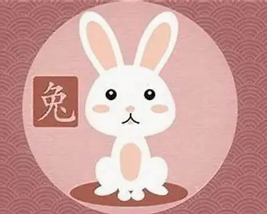 图片[1]-属兔女生与哪些生肖最相配
