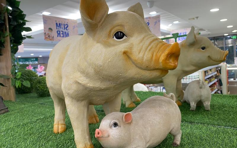 属猪人命运坎坷多出现在哪几个月