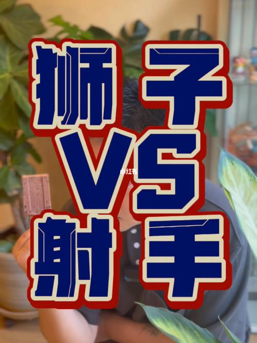 狮子座与射手座的星座配对解析