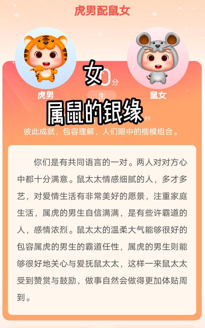 图片[1]-属鼠与属虎的生肖配对解析