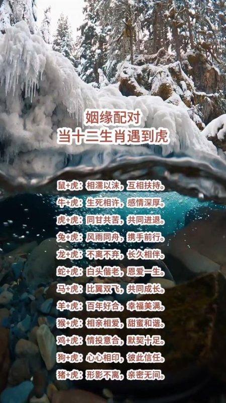 属虎与属羊的婚姻是否相配？-安卜居