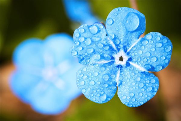 梦见春雨绵绵，周公解梦寓意解析，是好是坏一看便知