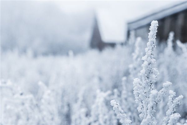 梦见冰雪预示什么，周公解梦深度解读，是好还是坏