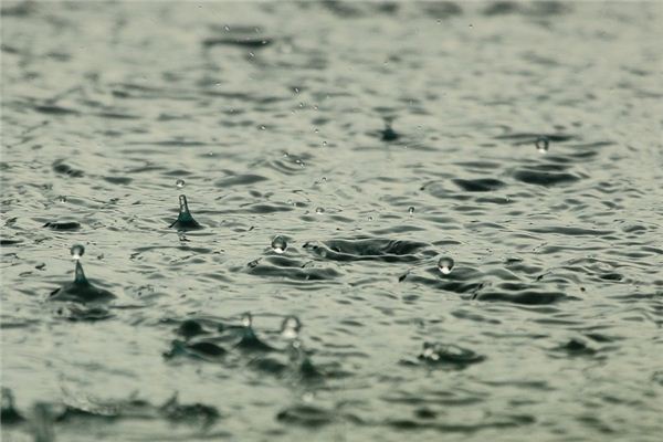 梦到梅雨有何预兆，周公解梦解读梅雨梦境吉凶