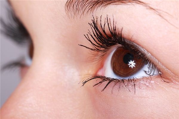 梦见眉毛_周公解梦梦到眉毛是什么意思_做梦梦见眉毛好不好